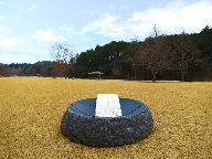 Display - Point (Kasama Geijutsunomori Park)
